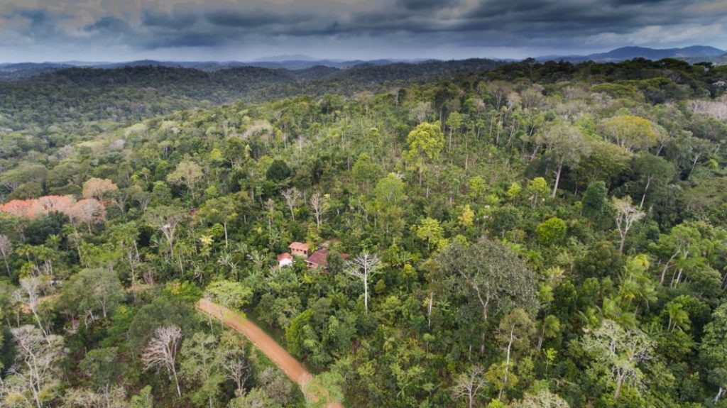 Ferme de Bahia Ernst Gostch Brésil exemple d'organisation basée sur la syntropie